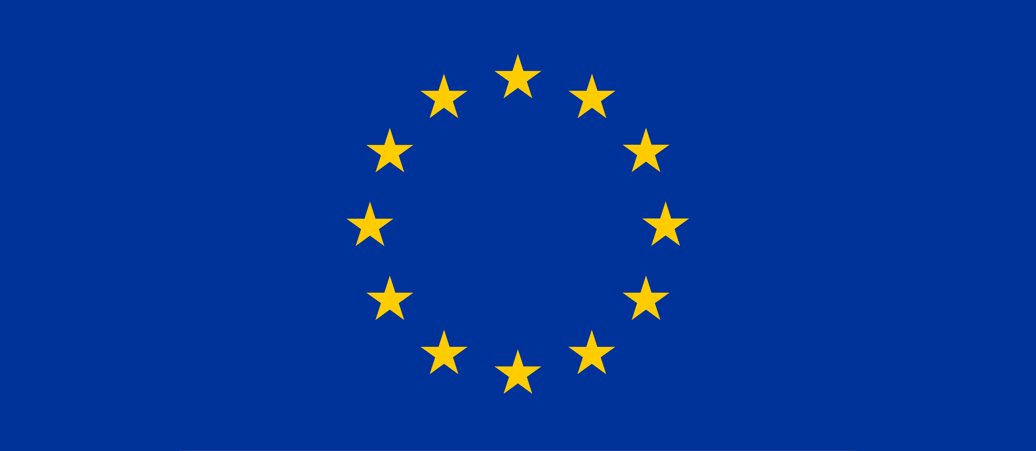 EU Flag Wide